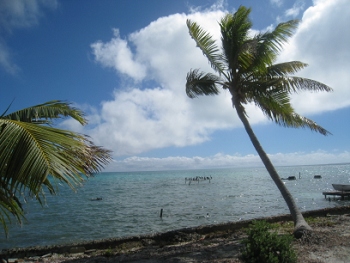 Diving in Belize